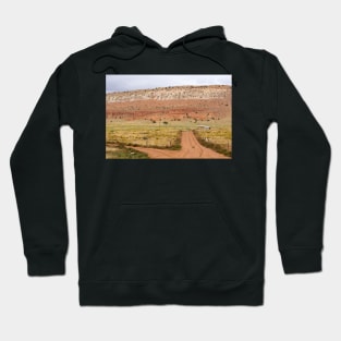 Little old house on prairie Hoodie